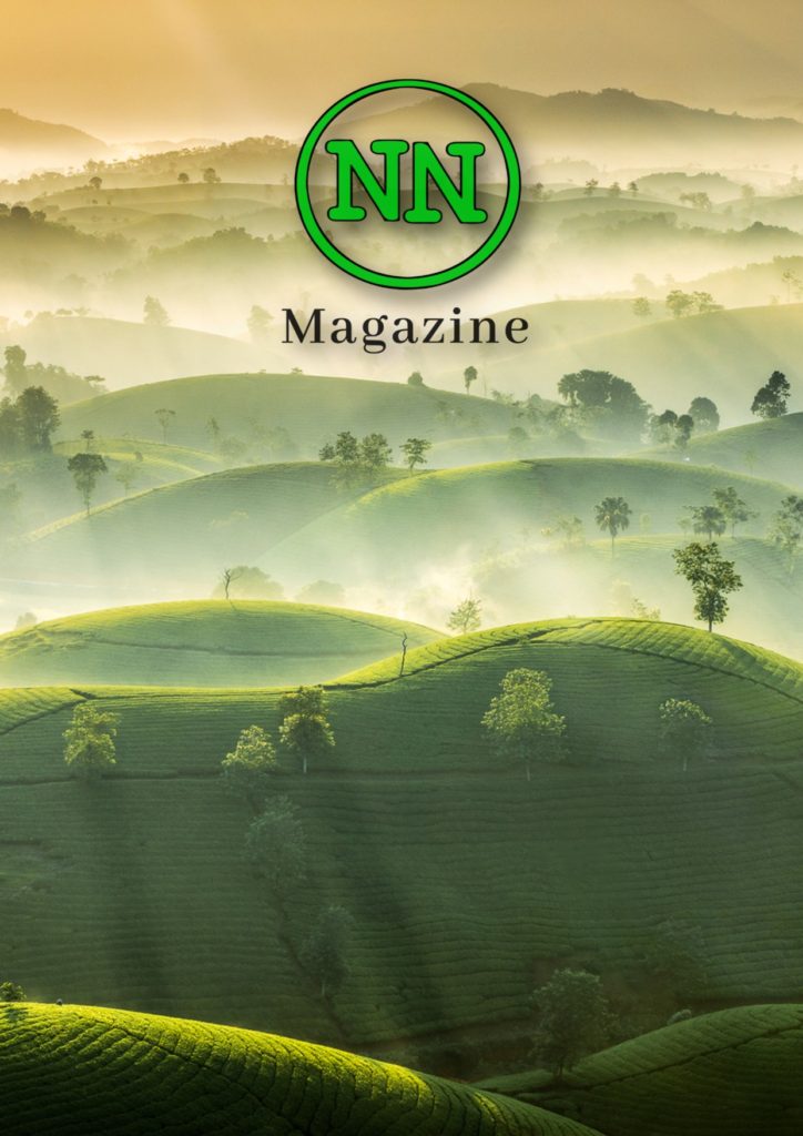 No#News Magazine numero 18, No#News Magazine &#8211; anno II &#8211; numero XVIII
