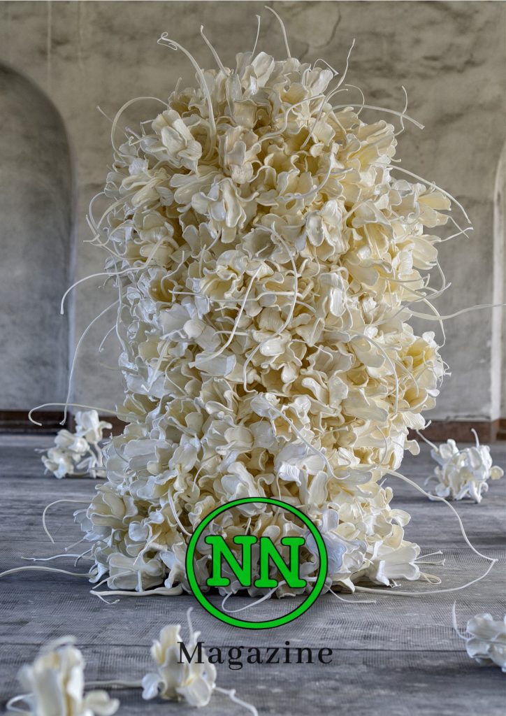 No#News Magazine n. 21/2021, No#News Magazine &#8211; anno III &#8211; numero XXI