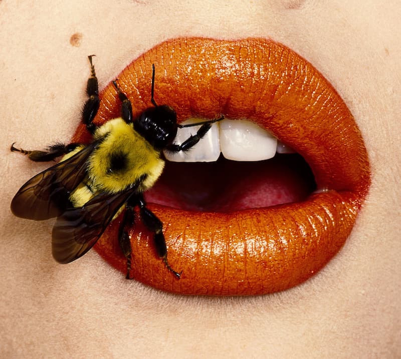 IRVING PENN, #Irving Penn in mostra a Cardi Gallery