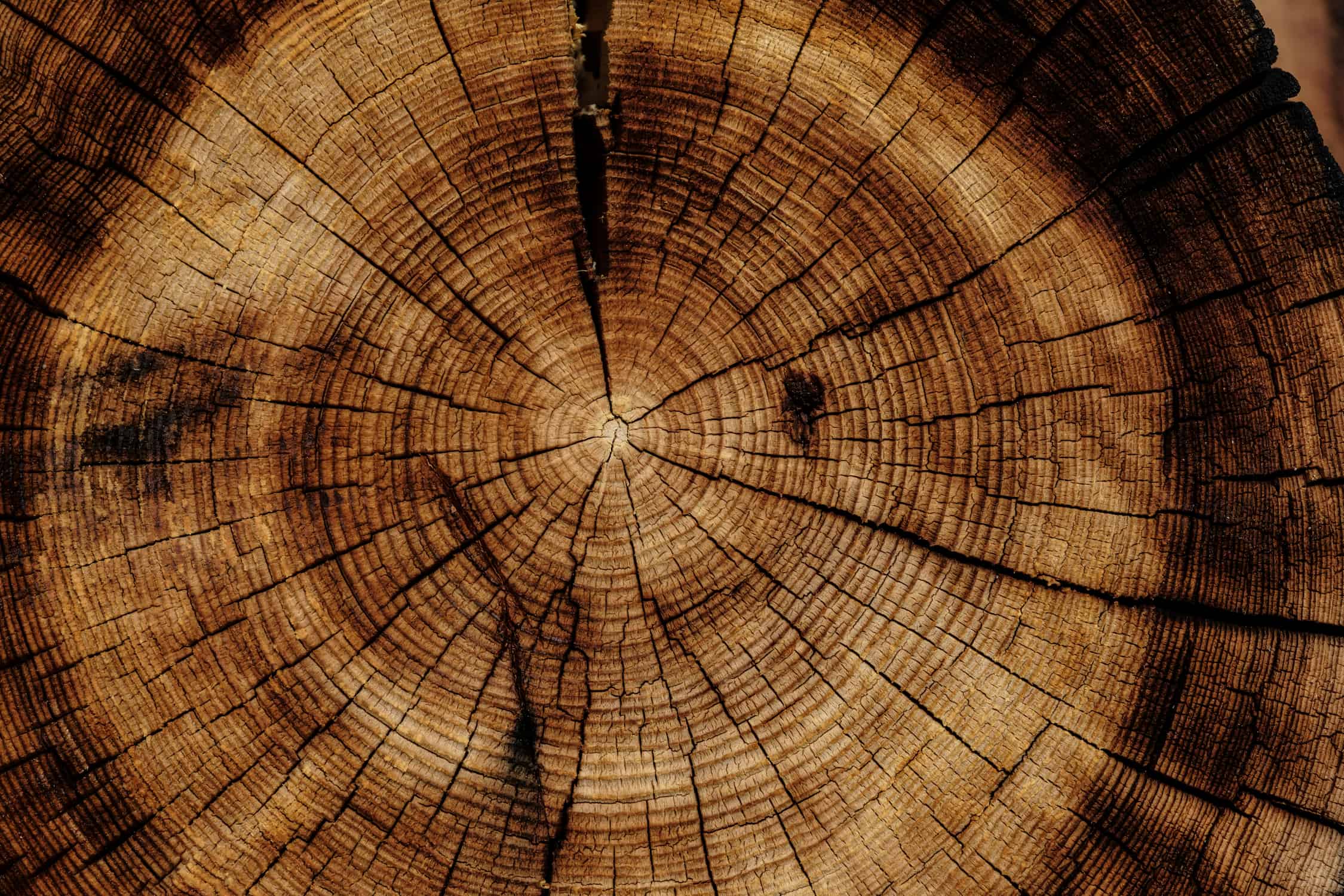 superwood il legno che supera l8217acciaio